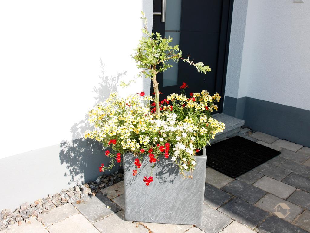 Kuckucksnest Apartment Unterkirnach Room photo
